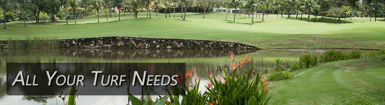 perfect turf about-banner