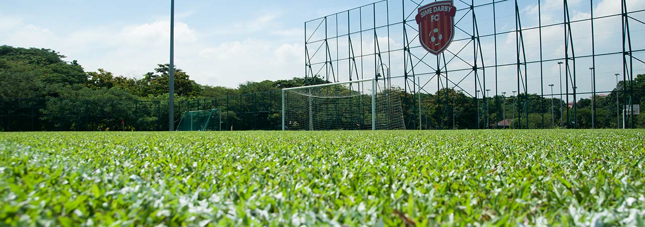 Professional Sports Turf Fertilizer
