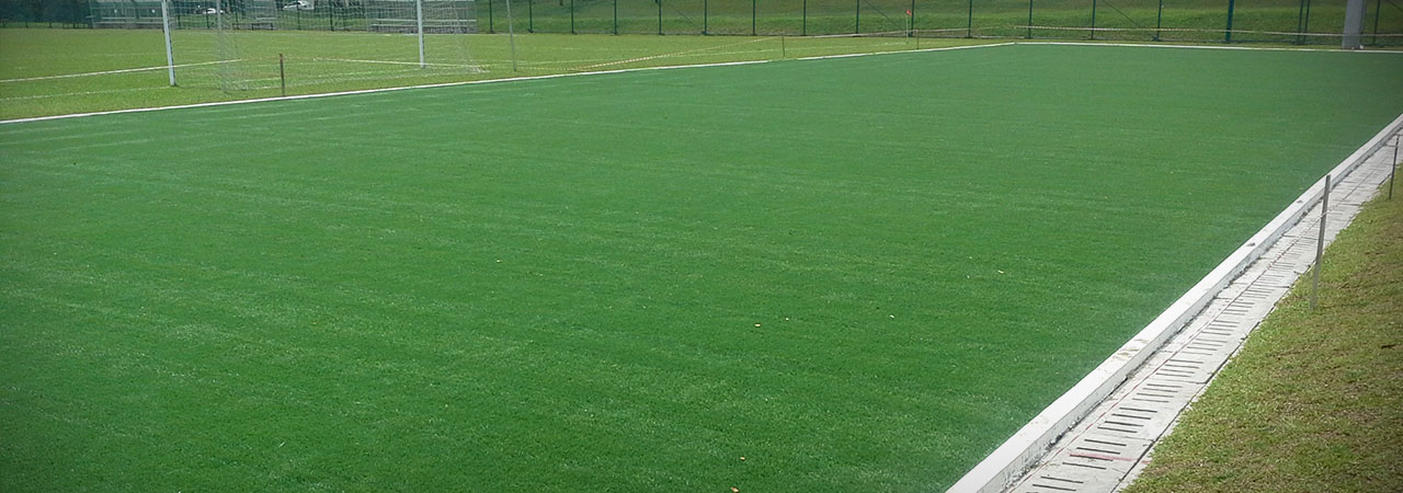 Artificial Grass