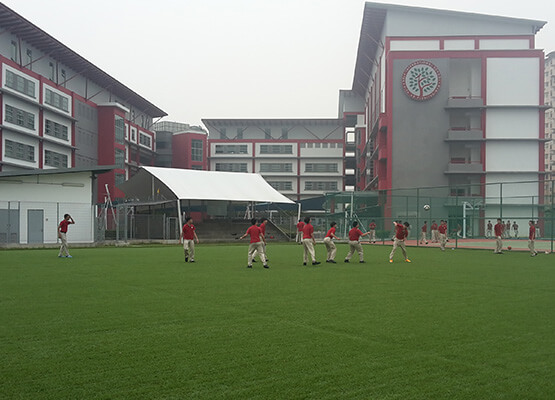 perfect-turf-artificial-grass-1
