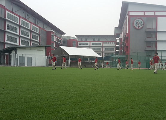 perfect-turf-artificial-grass-1